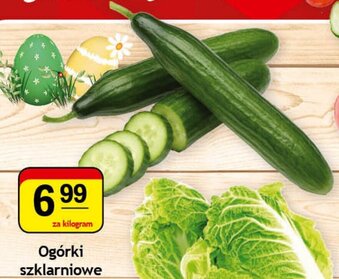 Gram Market Ogórki szklarniowe 1kg oferta