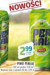 Stokrotka Piwo oferta