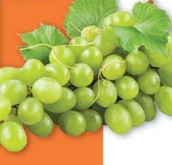 Spar Winogrona oferta