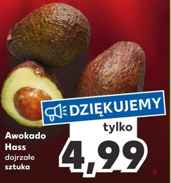 Kaufland Awokado oferta