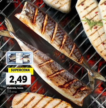 Lidl Makrela, tusza 100 g oferta