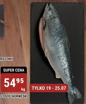bi1 ŁOSOŚ NORWESKI 1kg oferta