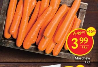Delikatesy Centrum Marchew 1 kg oferta