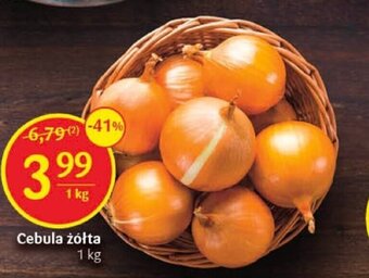 Delikatesy Centrum Cebula żółta 1 kg oferta