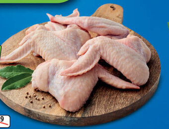 Stokrotka Optima Skrzydełka z kurczaka oferta