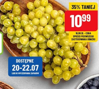 Polomarket Winogrona oferta