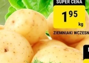 bi1 Ziemniaki oferta