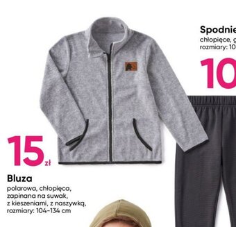 Pepco Bluza oferta