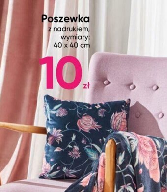 Pepco Poszewka oferta
