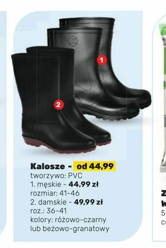 Bricomarche Kalosze oferta