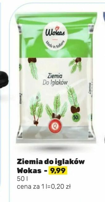 Ziemia do iglaków Wokas