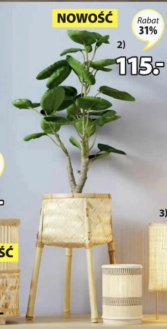 JYSK Roślina sztuczna arvid oferta