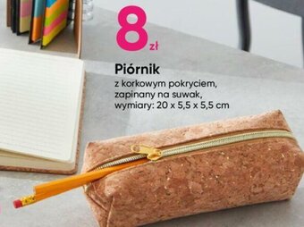 Pepco Piórnik oferta