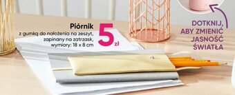 Pepco Piórnik oferta