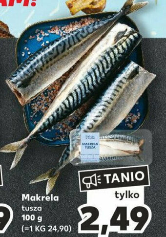 Kaufland Makrela tusza 100 g oferta