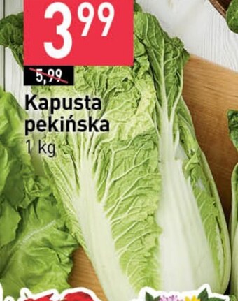 Stokrotka Market Kapusta pekińska oferta