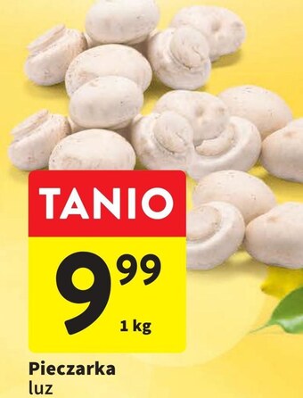 Intermarche Pieczarki oferta