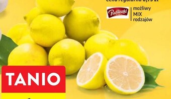 Intermarche Cytryna oferta