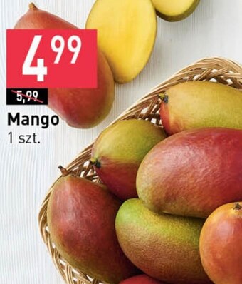 Stokrotka Mango oferta