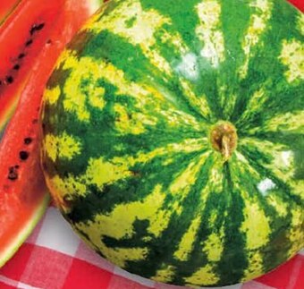 Delikatesy Centrum Arbuz oferta