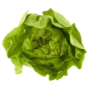 Netto Sałata masłowa oferta