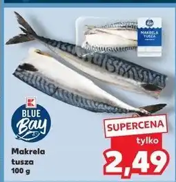 Kaufland Makrela tusza oferta