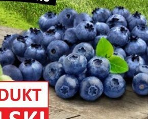 Lidl Borówki amerykańskie oferta