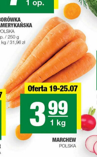Spar MARCHEW 1 kg oferta