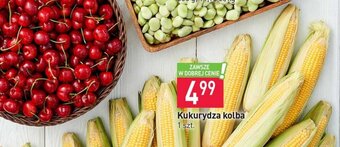 Stokrotka Kukurydza kolba 1 szt. oferta