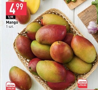 Stokrotka Mango 1 szt. oferta