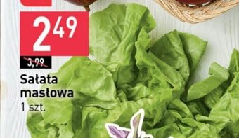 Stokrotka Sałata masłowa 1 szt. oferta