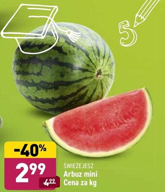 ALDI Arbuz mini 1kg oferta