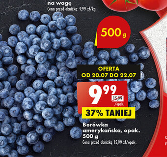 Biedronka Borówka amerykańska, opak. 500 g oferta