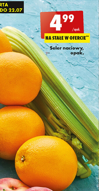 Biedronka Seler naciowy, opak. oferta