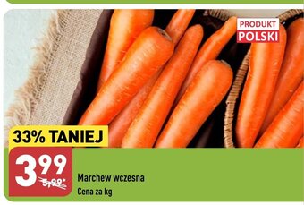 ALDI Marchew wczesna Cena za kg oferta