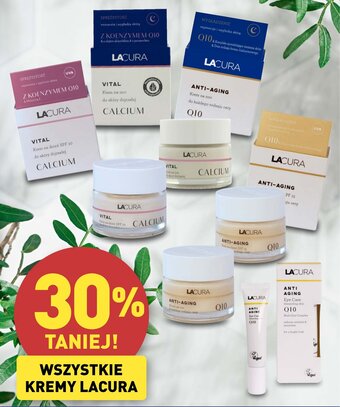ALDI Lacura Wszystkie kremy oferta