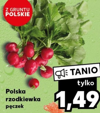 Kaufland Rzodkiewki oferta