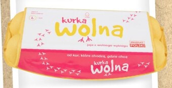 Makro Jajka kurka wolna oferta