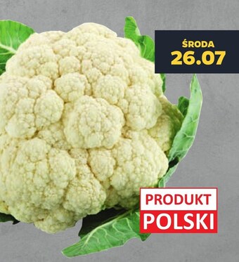 Netto Kalafior oferta