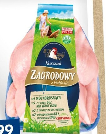 Makro Kurczak drosed oferta