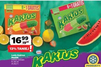 Netto Lody kaktus nestlé oferta