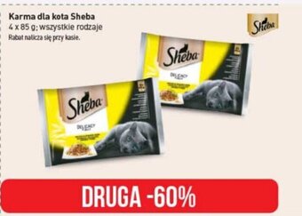 Stokrotka Karma dla kota Sheba 4 x 85 g oferta