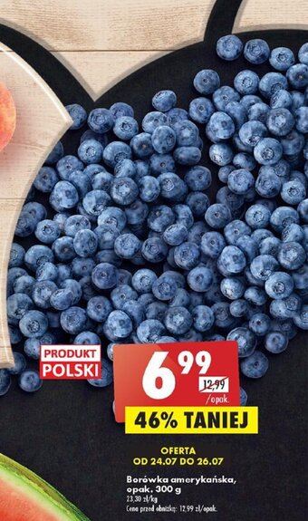 Biedronka Borówka amerykańska, opak. 300 g oferta