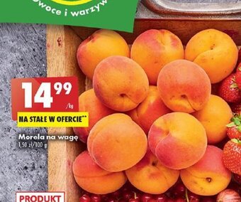 Biedronka Morela na wagę 1 kg oferta