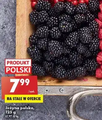 Biedronka Jeżyna polska, 125g oferta