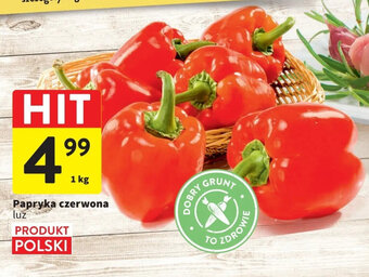Intermarche Papryka czerwona luz 1 kg oferta