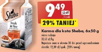 Biedronka Karma dla kota Sheba 6x50 g oferta