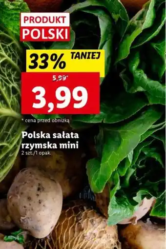 Lidl Polska sałata rzymska mini 2 sztuki oferta