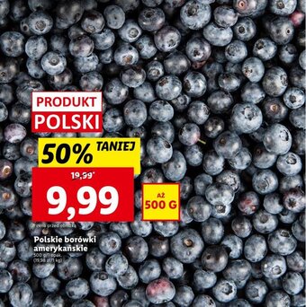 Lidl Polskie borówki amerykańskie 500 g oferta