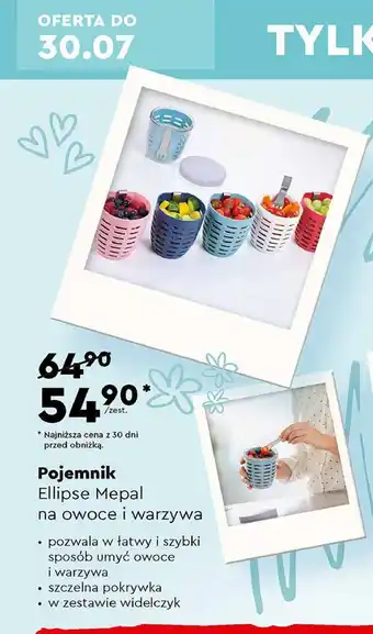 Biedronka Pojemnik ellipse na owoce i warzywa oferta